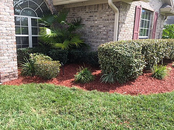 Detailed hedge trimming services for a residential property by JMK Lawn Care.